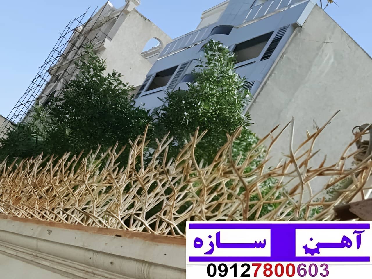 حفاظ نرده هزینه ساخت نصب شاخ گوزنی لیلیوم بوته خار دیوار