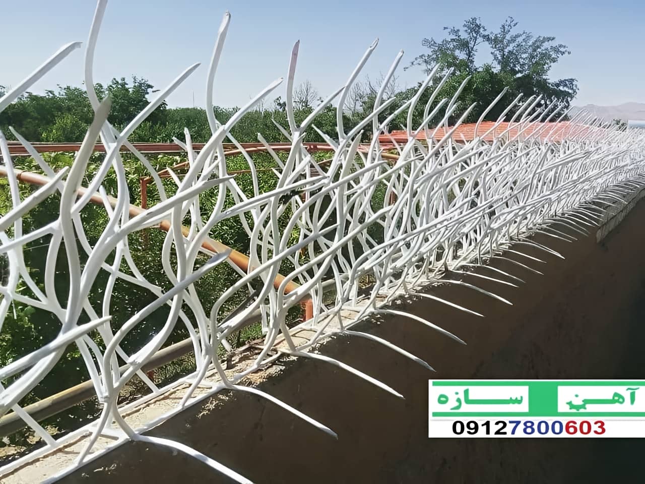 حفاظ نرده هزینه ساخت نصب شاخ گوزنی لیلیوم بوته خار دیوار