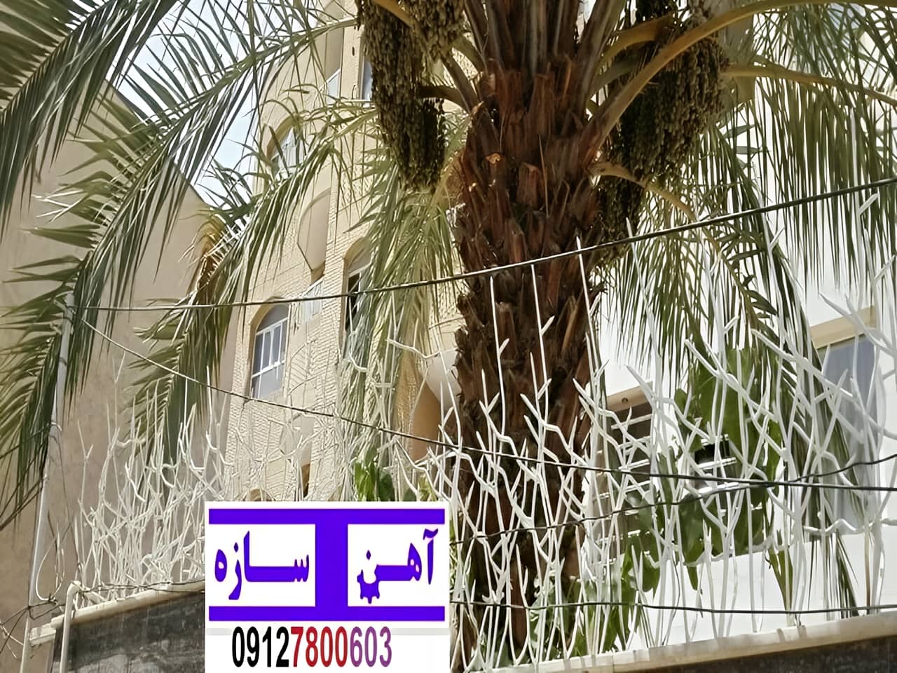 حفاظ نرده هزینه ساخت نصب شاخ گوزنی لیلیوم بوته خار دیوار