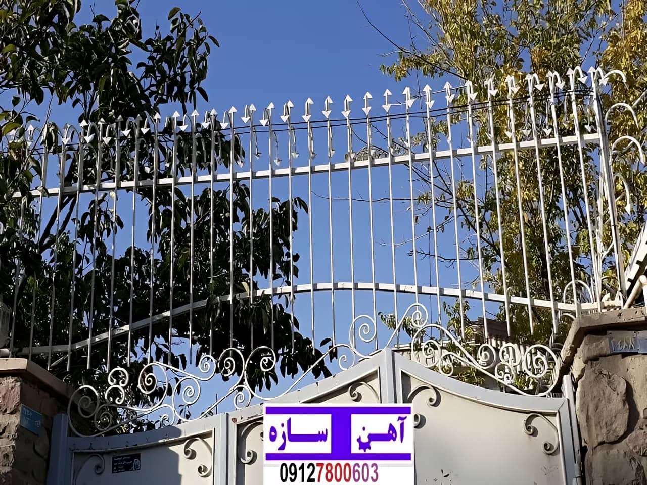 نرده حفاظ دیوار ساختمان شاخ گوزنی بوته ای لیلیوم