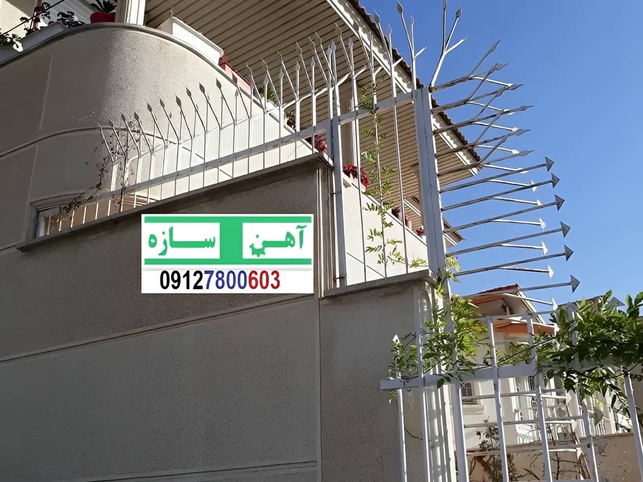 نرده حفاظ دیوار ساختمان شاخ گوزنی بوته ای لیلیوم