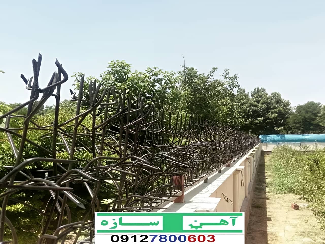 نرده حفاظ دیوار ساختمان شاخ گوزنی بوته ای لیلیوم