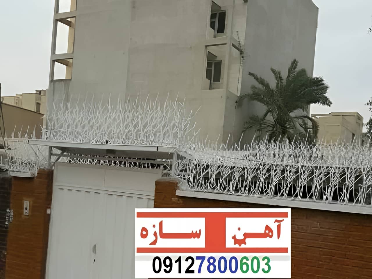 نرده حفاظ دیوار ساختمان شاخ گوزنی بوته ای لیلیوم