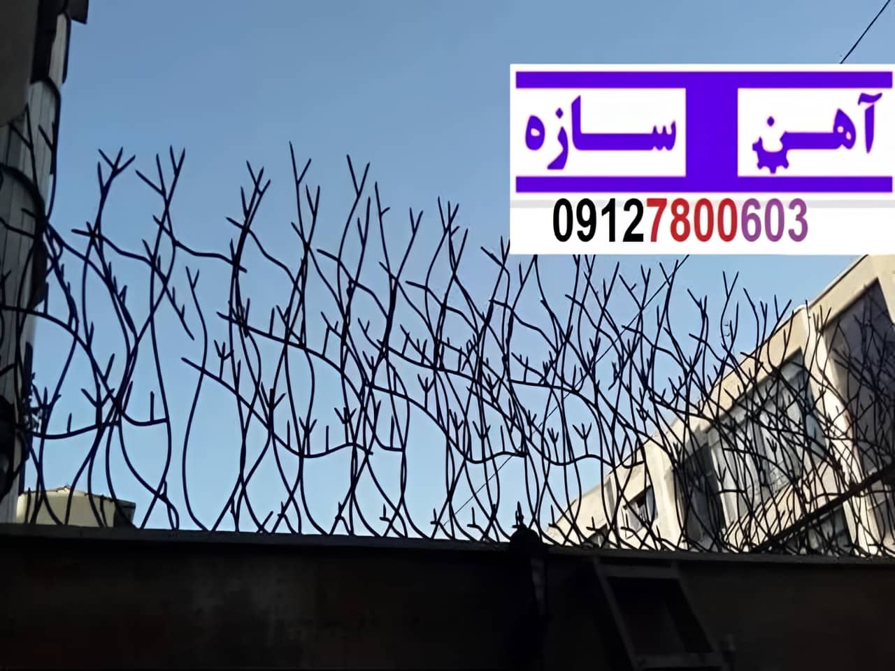 نرده حفاظ دیوار ساختمان شاخ گوزنی بوته ای لیلیوم