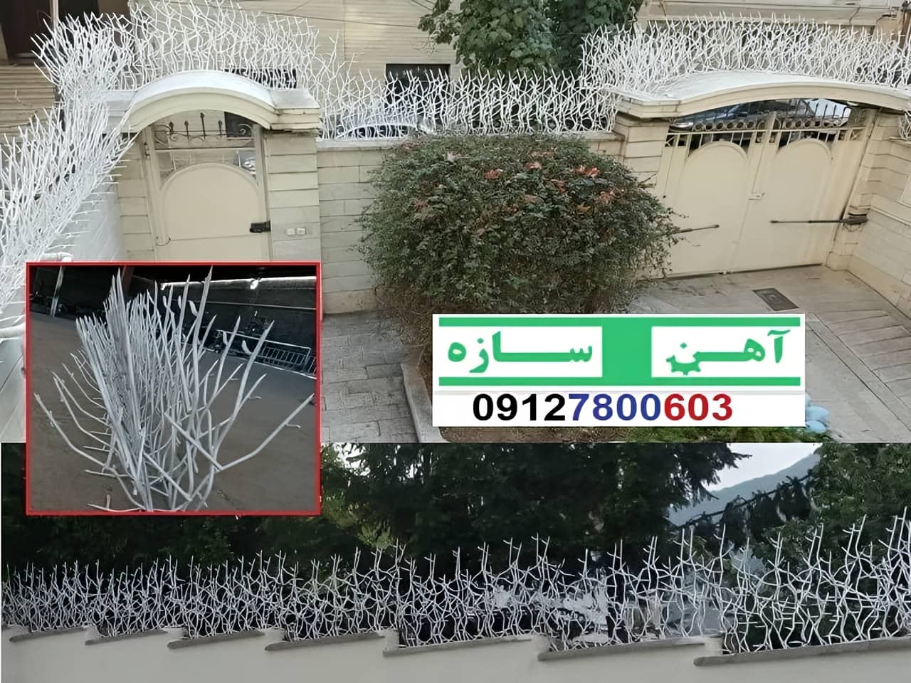 نرده حفاظ دیوار ساختمان شاخ گوزنی بوته ای لیلیوم
