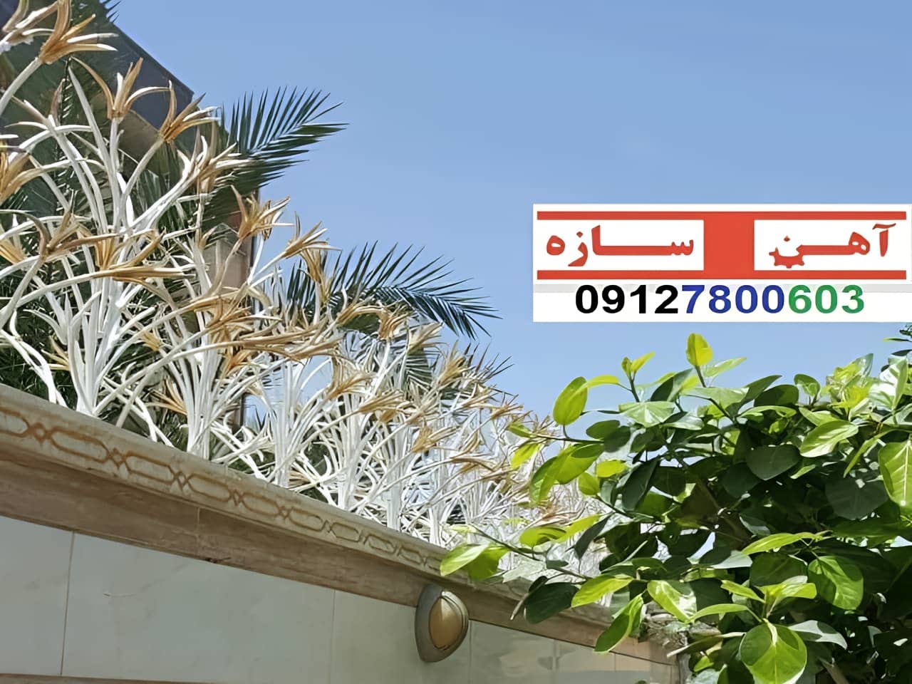 نرده حفاظ دیوار ساختمان شاخ گوزنی بوته ای لیلیوم
