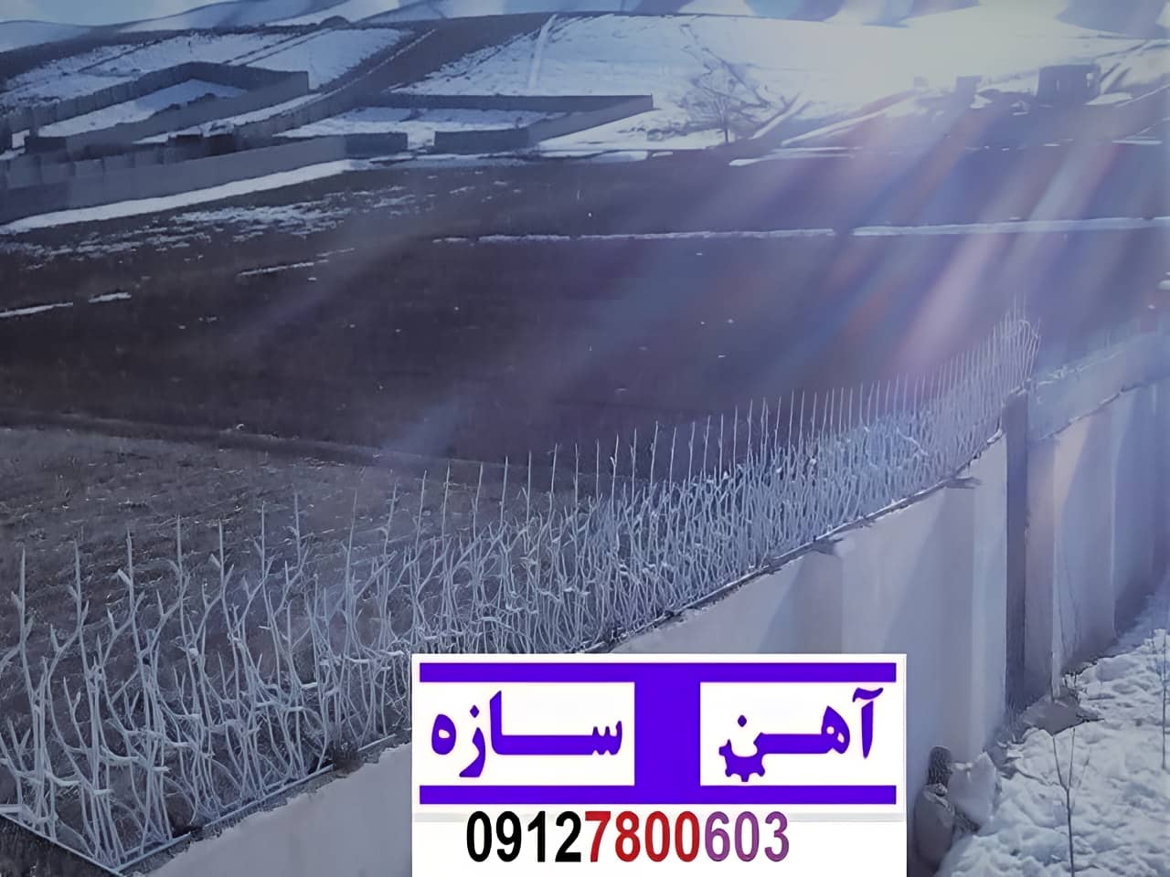 نرده حفاظ دیوار ساختمان شاخ گوزنی بوته ای لیلیوم