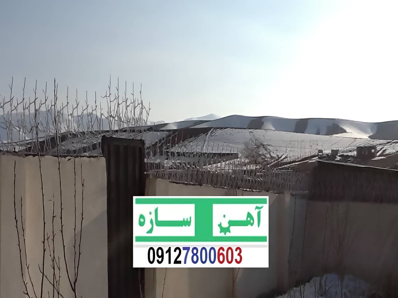 نرده حفاظ دیوار ساختمان شاخ گوزنی بوته ای لیلیوم