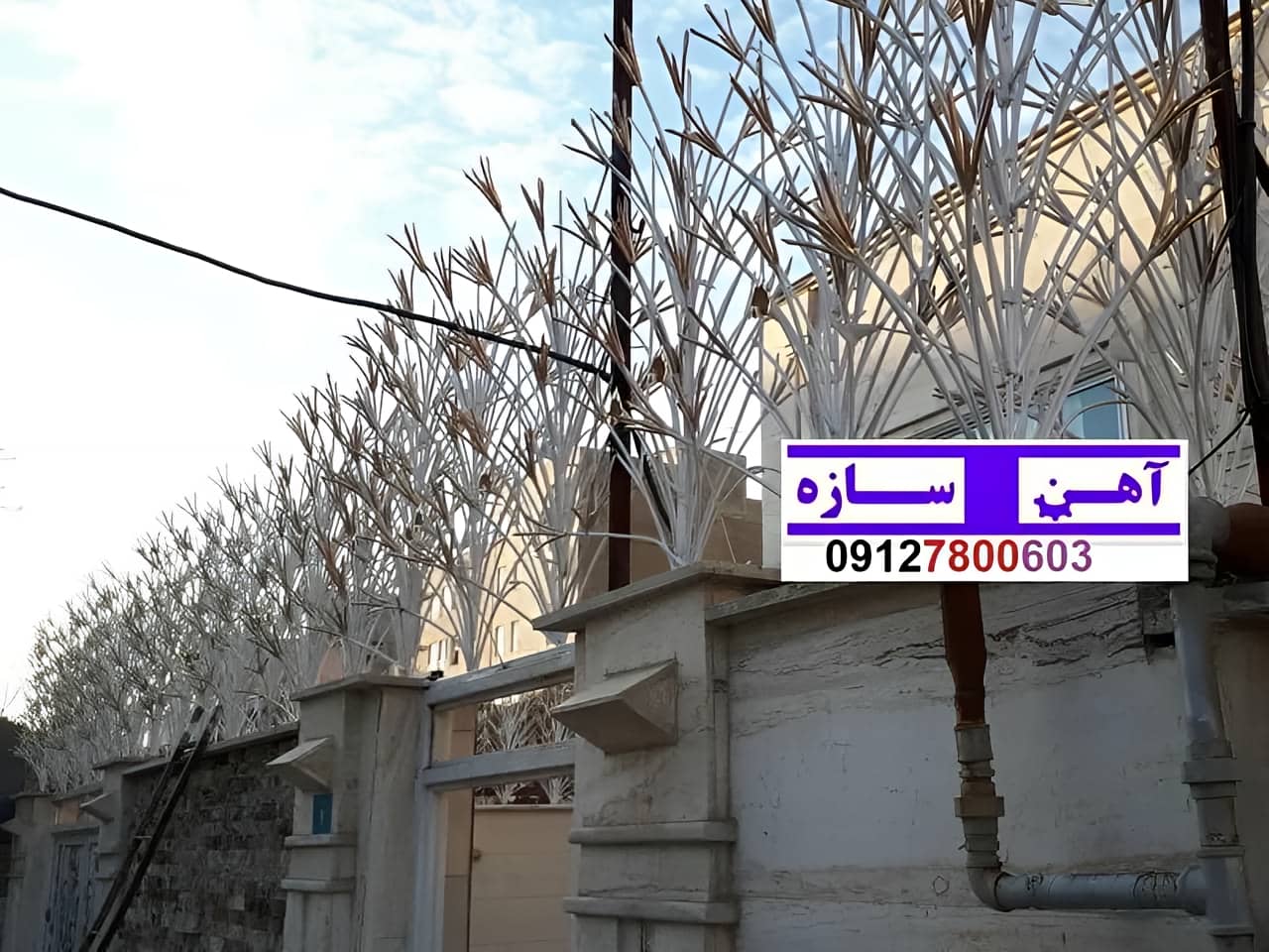 نرده حفاظ دیوار ساختمان شاخ گوزنی بوته ای لیلیوم