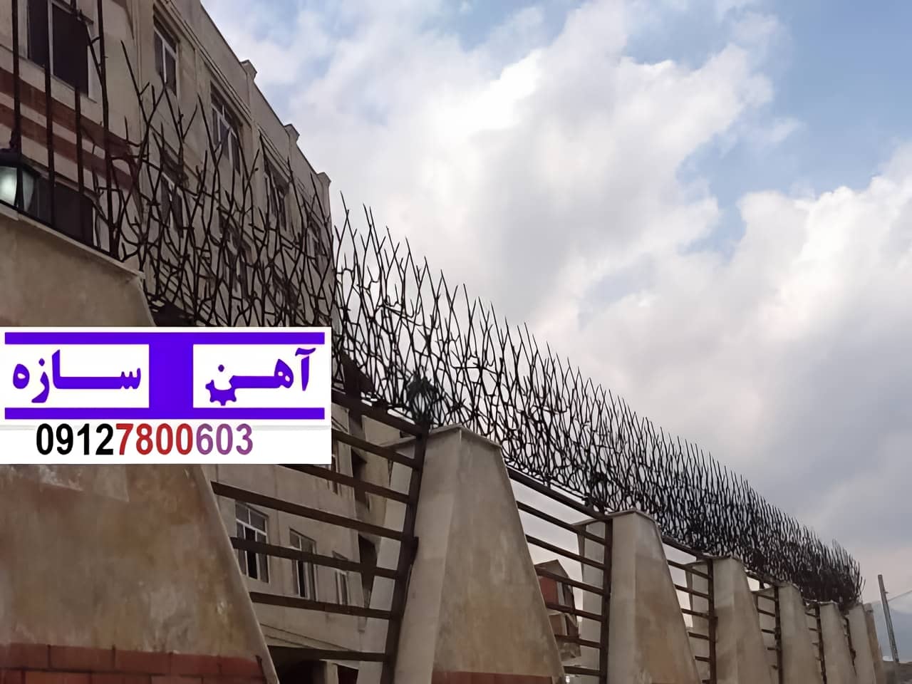 نرده حفاظ دیوار ساختمان شاخ گوزنی بوته ای لیلیوم