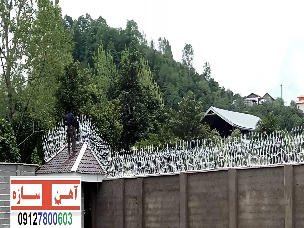 حفاظ نرده هزینه ساخت نصب شاخ گوزنی لیلیوم بوته خار دیوار