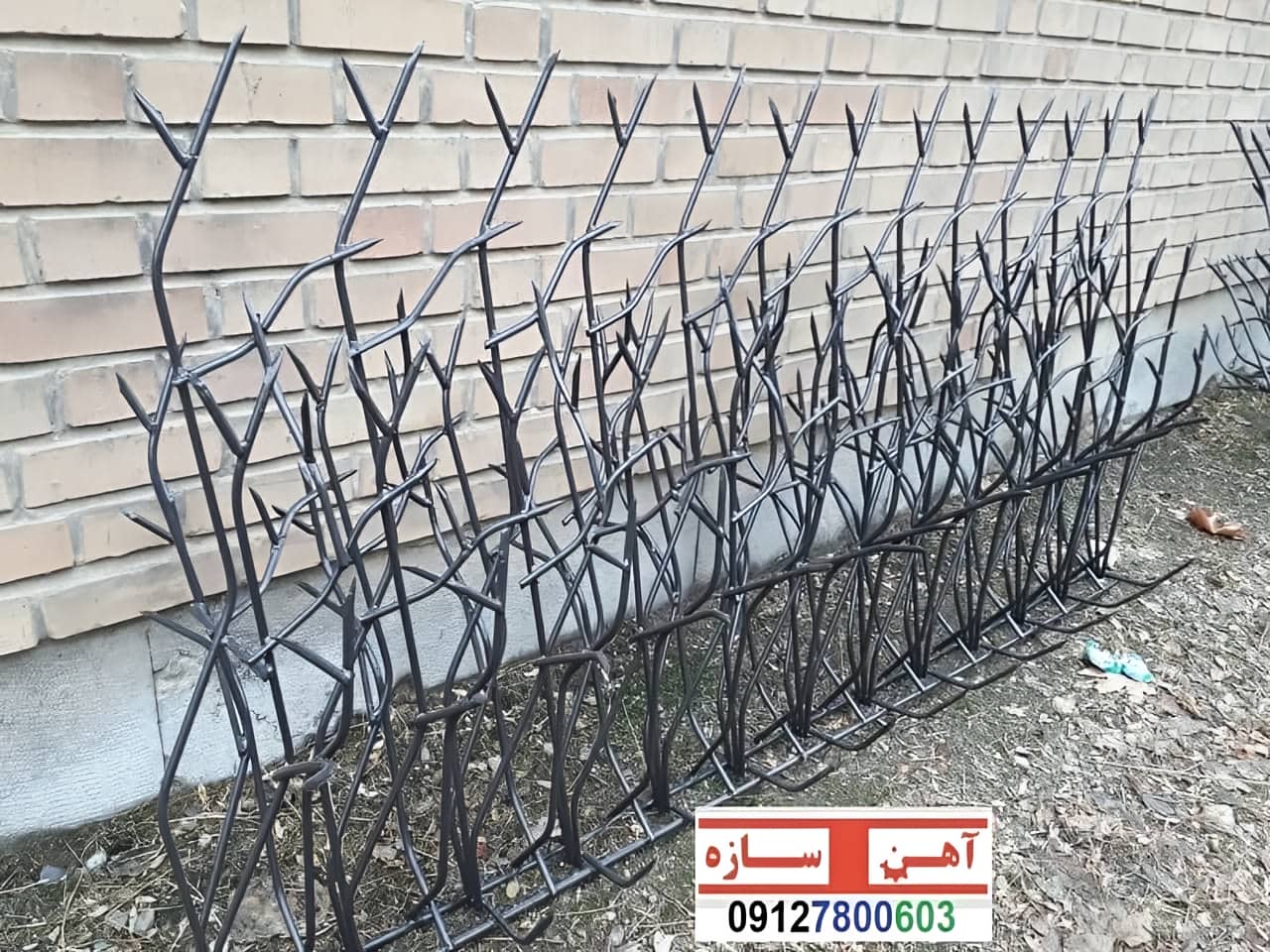 حفاظ نرده هزینه ساخت نصب شاخ گوزنی لیلیوم بوته خار دیوار