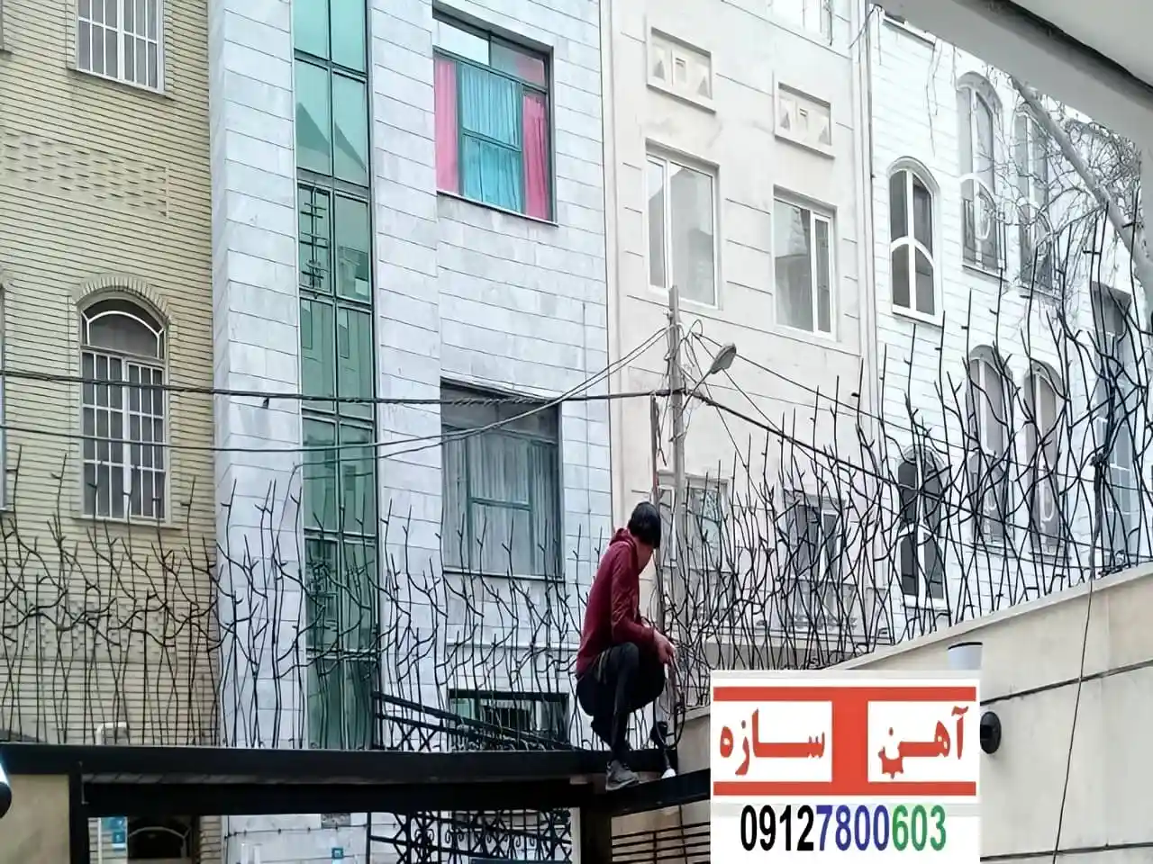 حفاظ نرده هزینه ساخت نصب شاخ گوزنی لیلیوم بوته خار دیوار - تصویر 3