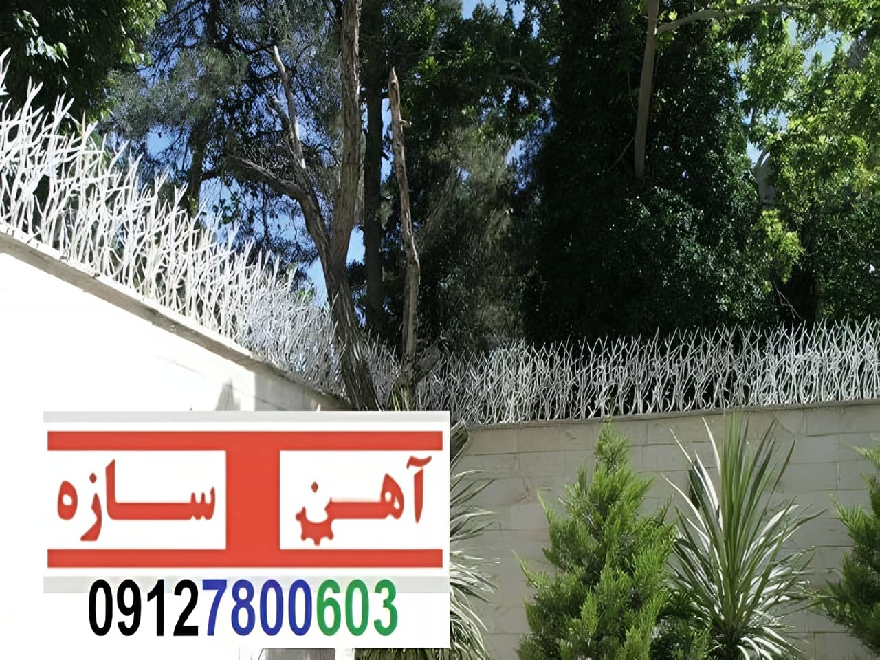 قیمت خرید حفاظ شاخ گوزنی حفاظ بوته ای خار حفاظ لیلیوم