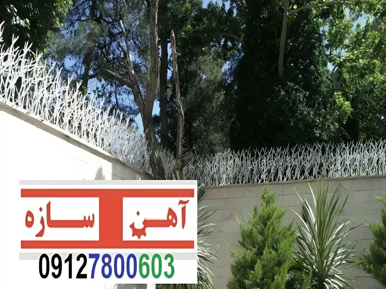 قیمت خرید حفاظ شاخ گوزنی حفاظ بوته ای خار حفاظ لیلیوم