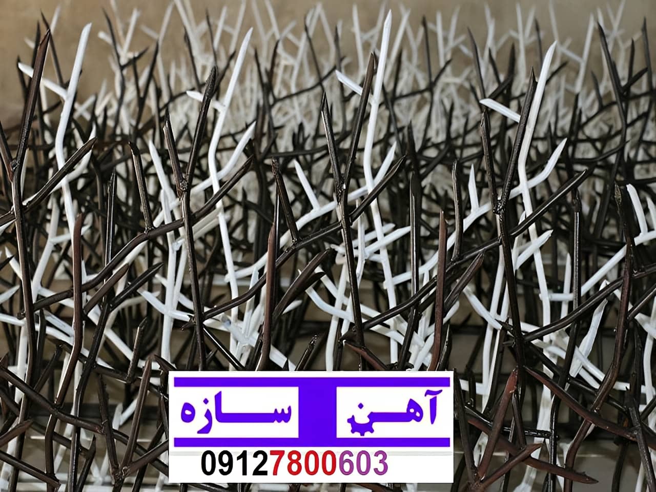 قیمت خرید حفاظ شاخ گوزنی حفاظ بوته ای خار حفاظ لیلیوم