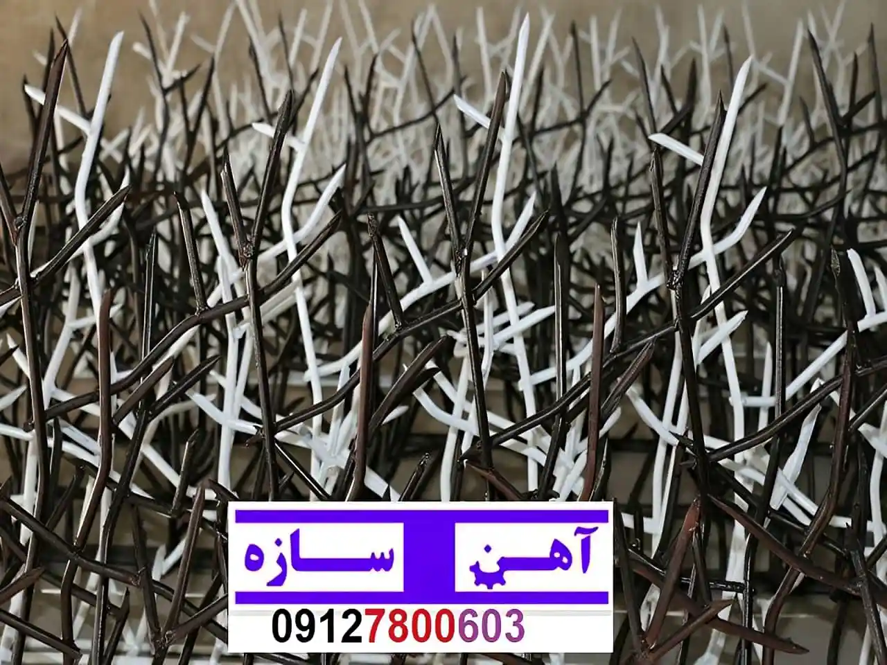 قیمت خرید حفاظ شاخ گوزنی حفاظ بوته ای خار حفاظ لیلیوم