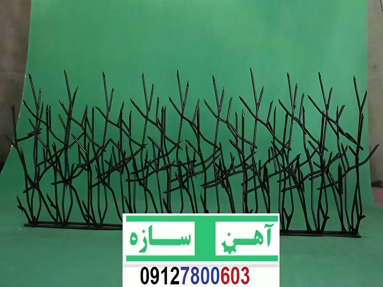 قیمت خرید حفاظ شاخ گوزنی حفاظ بوته ای خار حفاظ لیلیوم