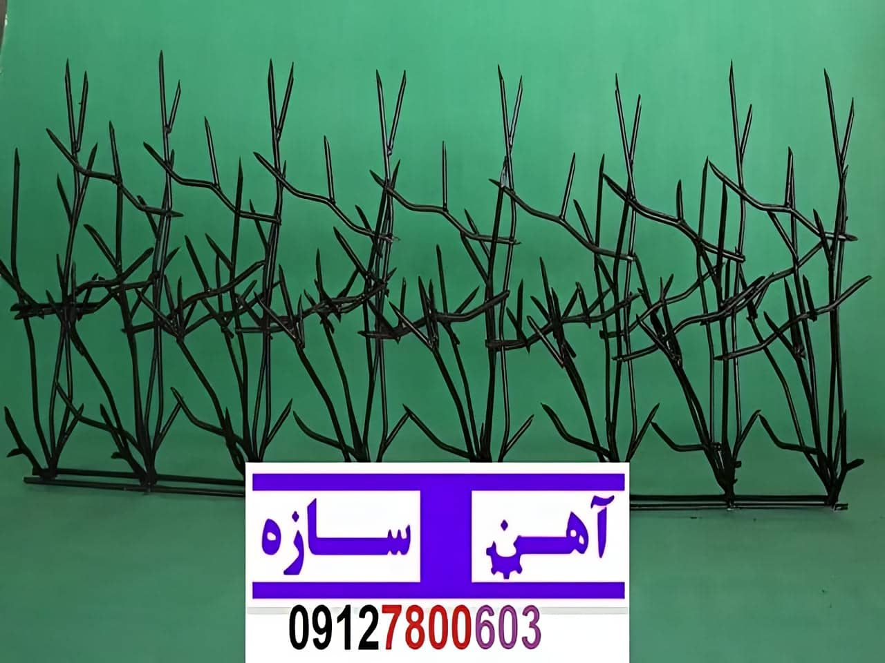 قیمت خرید حفاظ شاخ گوزنی حفاظ بوته ای خار حفاظ لیلیوم