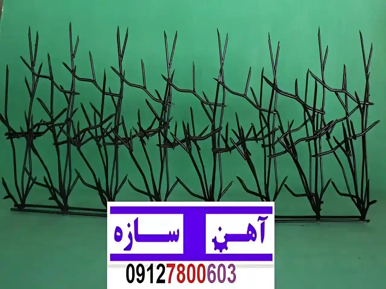 قیمت خرید حفاظ شاخ گوزنی حفاظ بوته ای خار حفاظ لیلیوم - تصویر 2