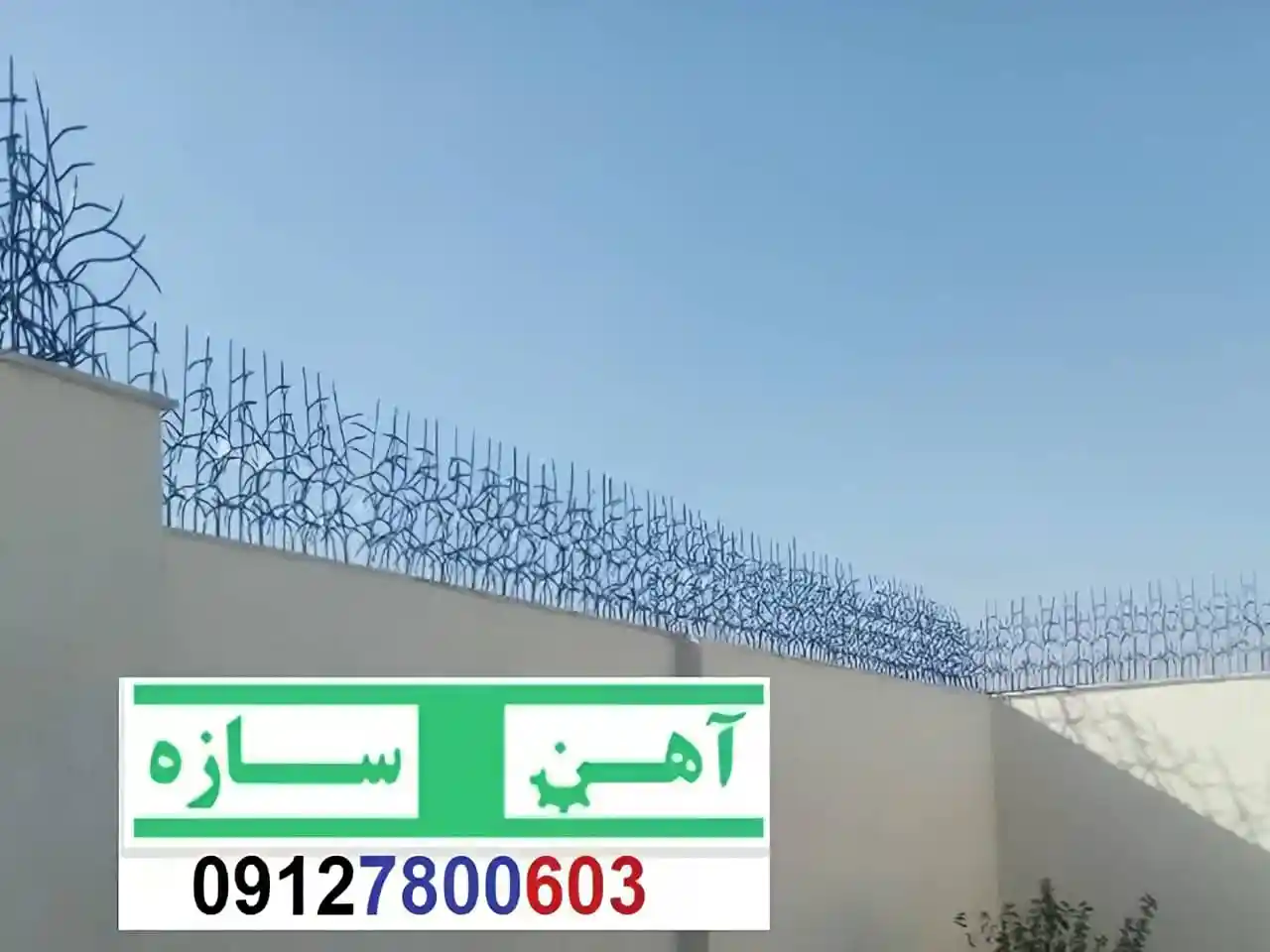 قیمت خرید حفاظ شاخ گوزنی حفاظ بوته ای خار حفاظ لیلیوم