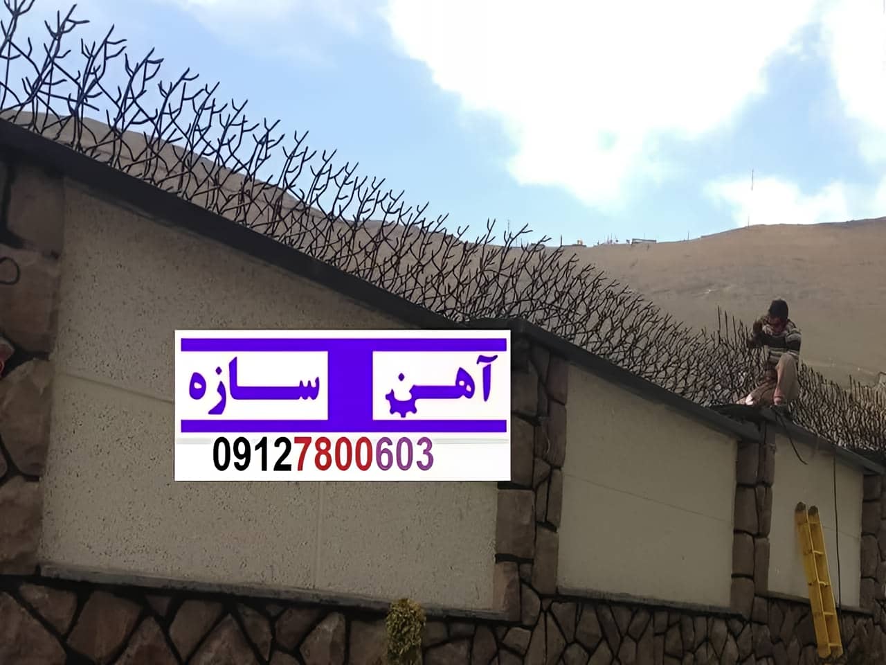قیمت خرید حفاظ شاخ گوزنی حفاظ بوته ای خار حفاظ لیلیوم
