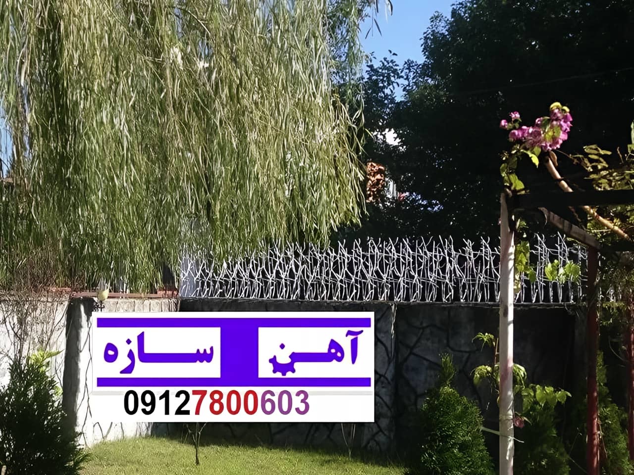 قیمت خرید حفاظ شاخ گوزنی حفاظ بوته ای خار حفاظ لیلیوم