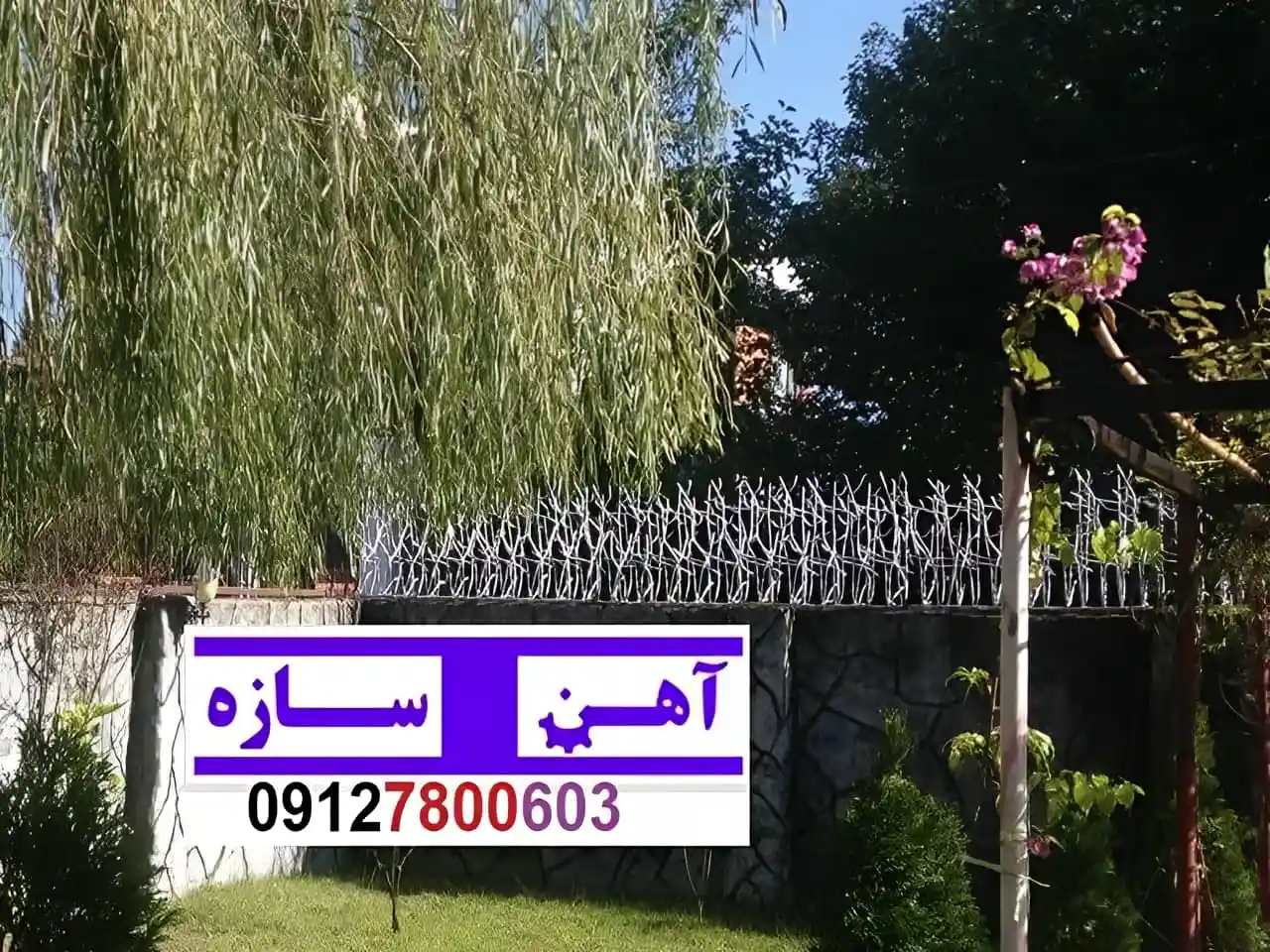 قیمت خرید حفاظ شاخ گوزنی حفاظ بوته ای خار حفاظ لیلیوم