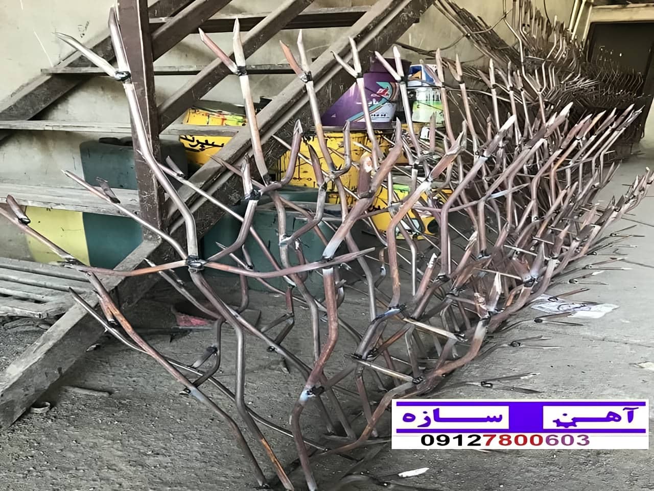 قیمت خرید حفاظ شاخ گوزنی حفاظ بوته ای خار حفاظ لیلیوم