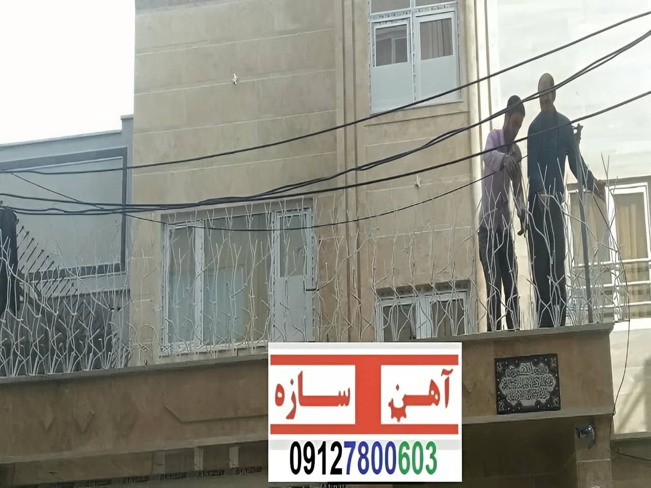 قیمت خرید حفاظ شاخ گوزنی حفاظ بوته ای خار حفاظ لیلیوم