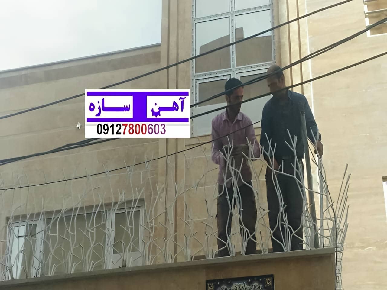 قیمت خرید حفاظ شاخ گوزنی حفاظ بوته ای خار حفاظ لیلیوم