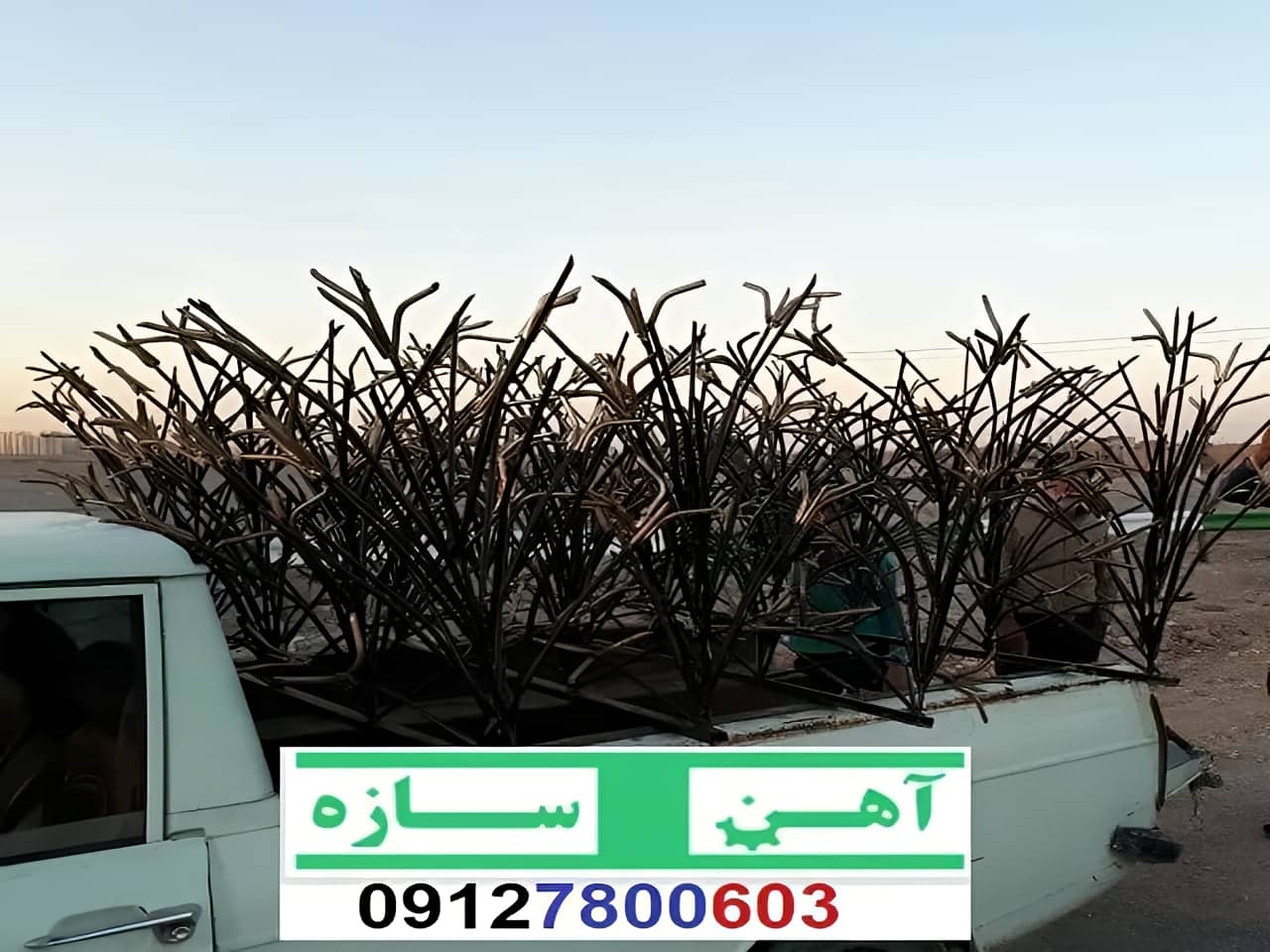 قیمت خرید حفاظ شاخ گوزنی حفاظ بوته ای خار حفاظ لیلیوم