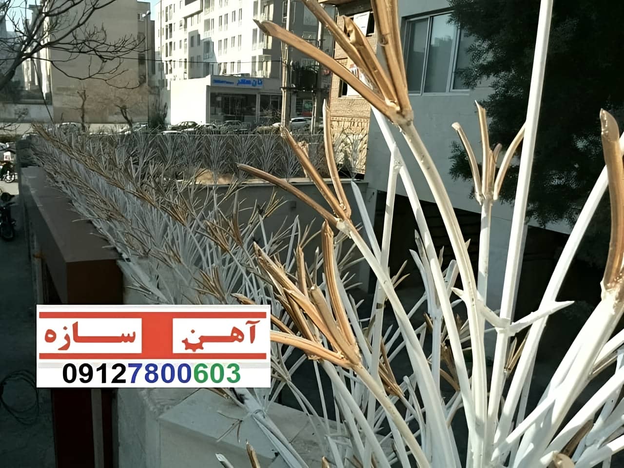 قیمت خرید حفاظ شاخ گوزنی حفاظ بوته ای خار حفاظ لیلیوم