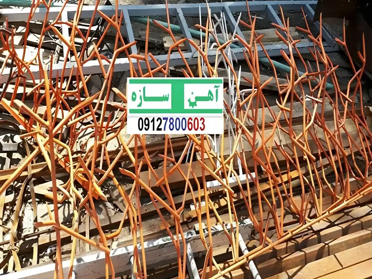قیمت خرید حفاظ شاخ گوزنی حفاظ بوته ای خار حفاظ لیلیوم