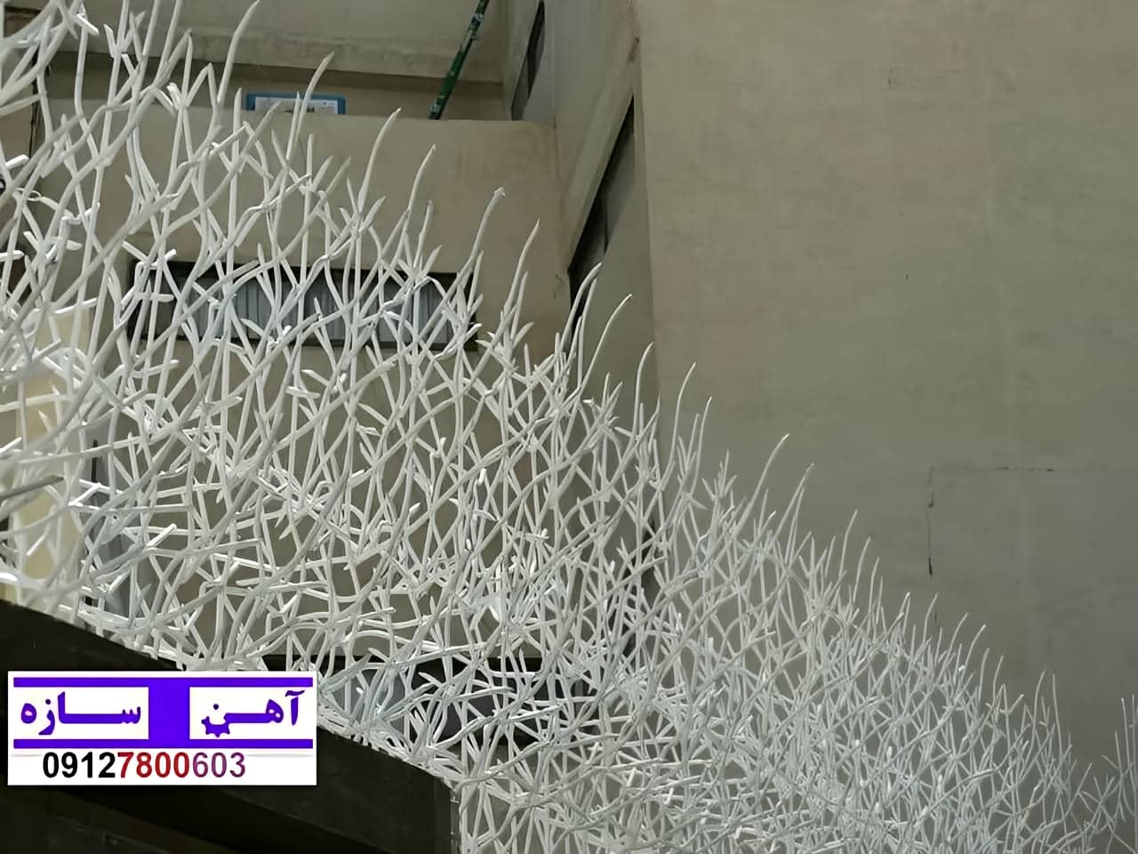 قیمت خرید حفاظ شاخ گوزنی حفاظ بوته ای خار حفاظ لیلیوم