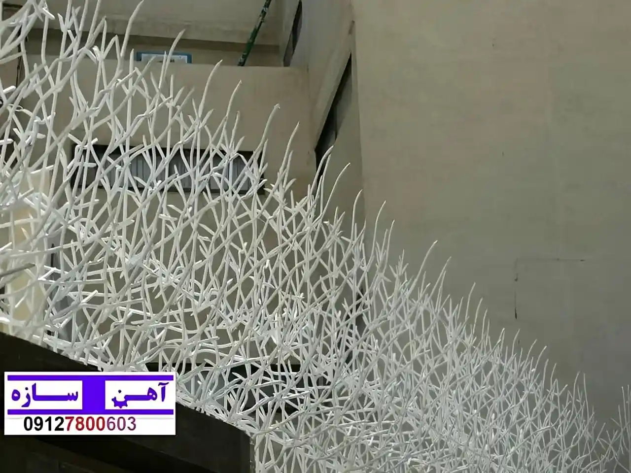 قیمت خرید حفاظ شاخ گوزنی حفاظ بوته ای خار حفاظ لیلیوم