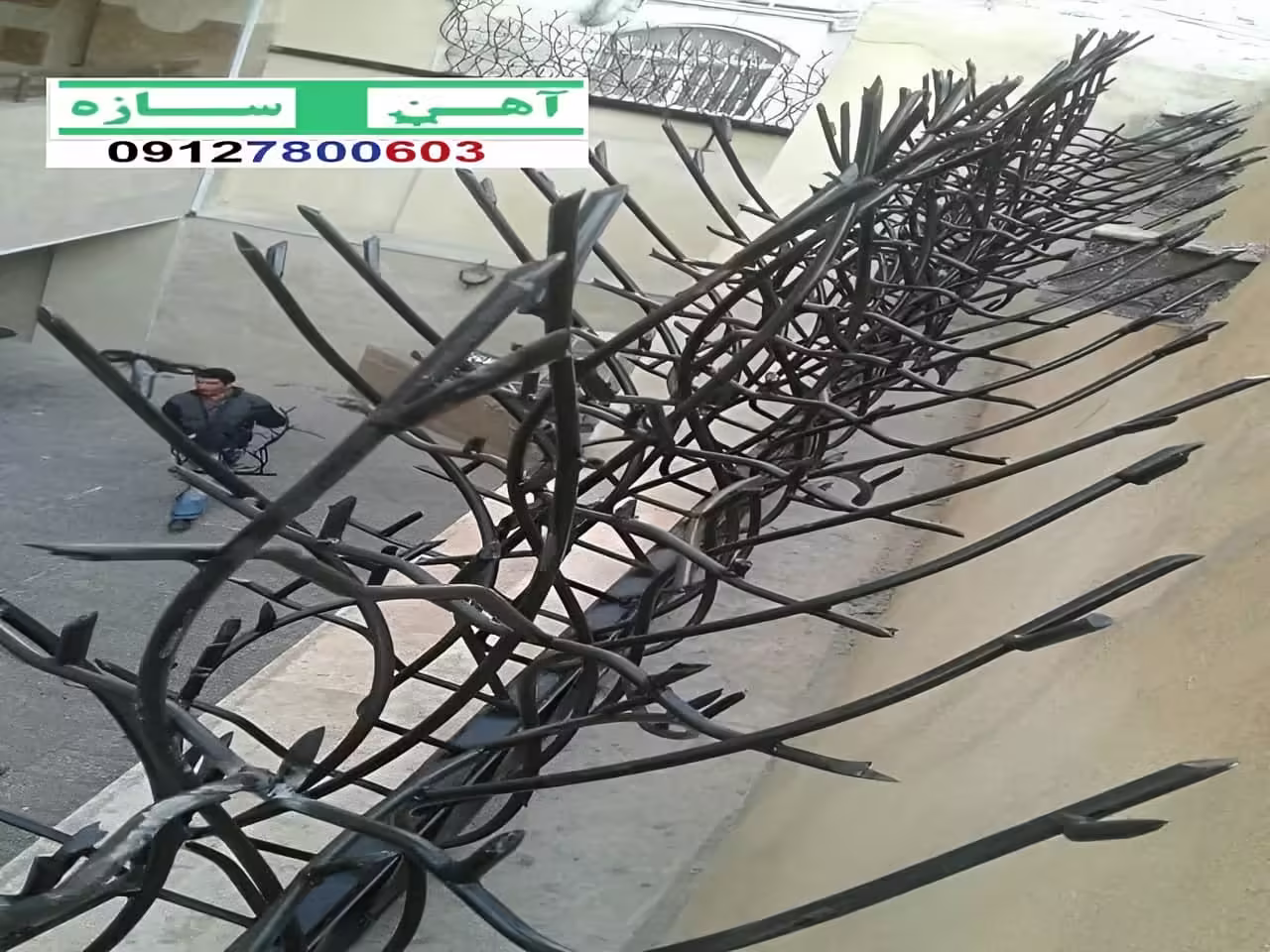 قیمت خرید حفاظ شاخ گوزنی حفاظ بوته ای خار حفاظ لیلیوم