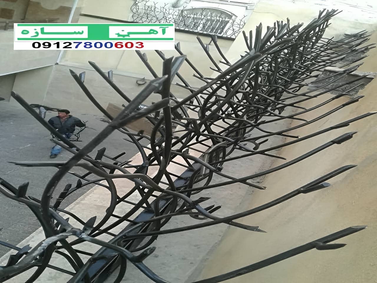 قیمت خرید حفاظ شاخ گوزنی حفاظ بوته ای خار حفاظ لیلیوم