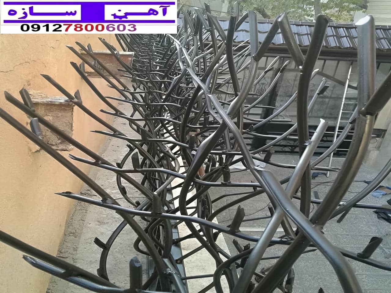 قیمت خرید حفاظ شاخ گوزنی حفاظ بوته ای خار حفاظ لیلیوم