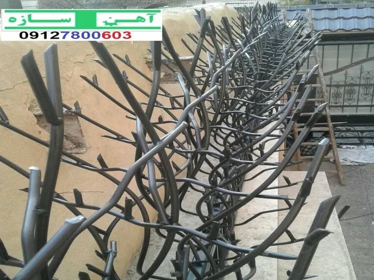 قیمت خرید حفاظ شاخ گوزنی حفاظ بوته ای خار حفاظ لیلیوم