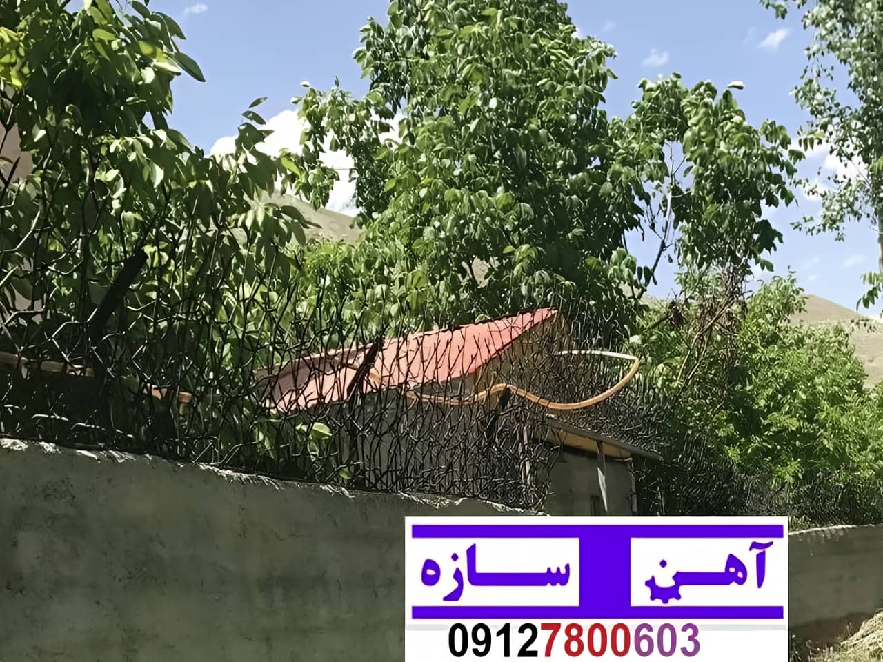 قیمت خرید حفاظ شاخ گوزنی حفاظ بوته ای خار حفاظ لیلیوم