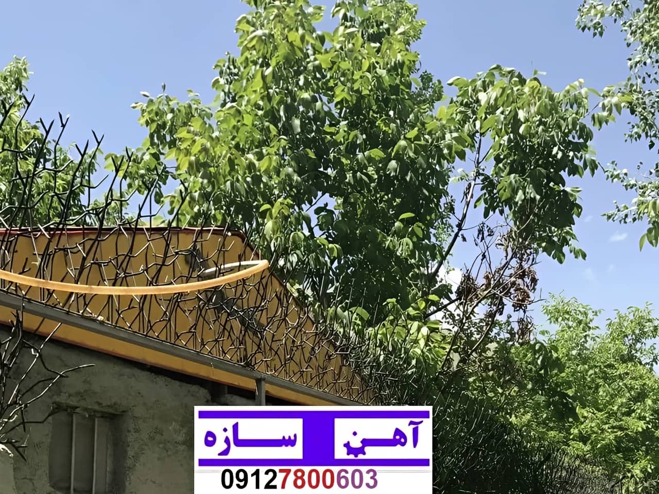 قیمت خرید حفاظ شاخ گوزنی حفاظ بوته ای خار حفاظ لیلیوم