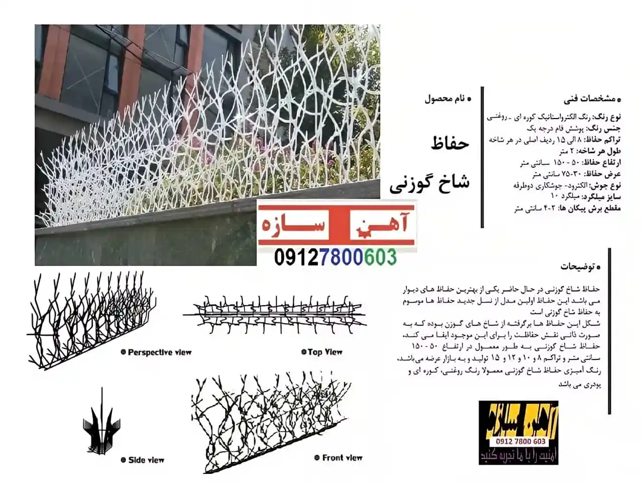 قیمت خرید حفاظ شاخ گوزنی حفاظ بوته ای خار حفاظ لیلیوم