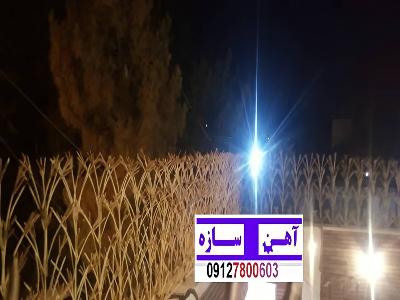 فنس حفاظ روی دیوار شاخ گوزن بوته خار لیلیومی