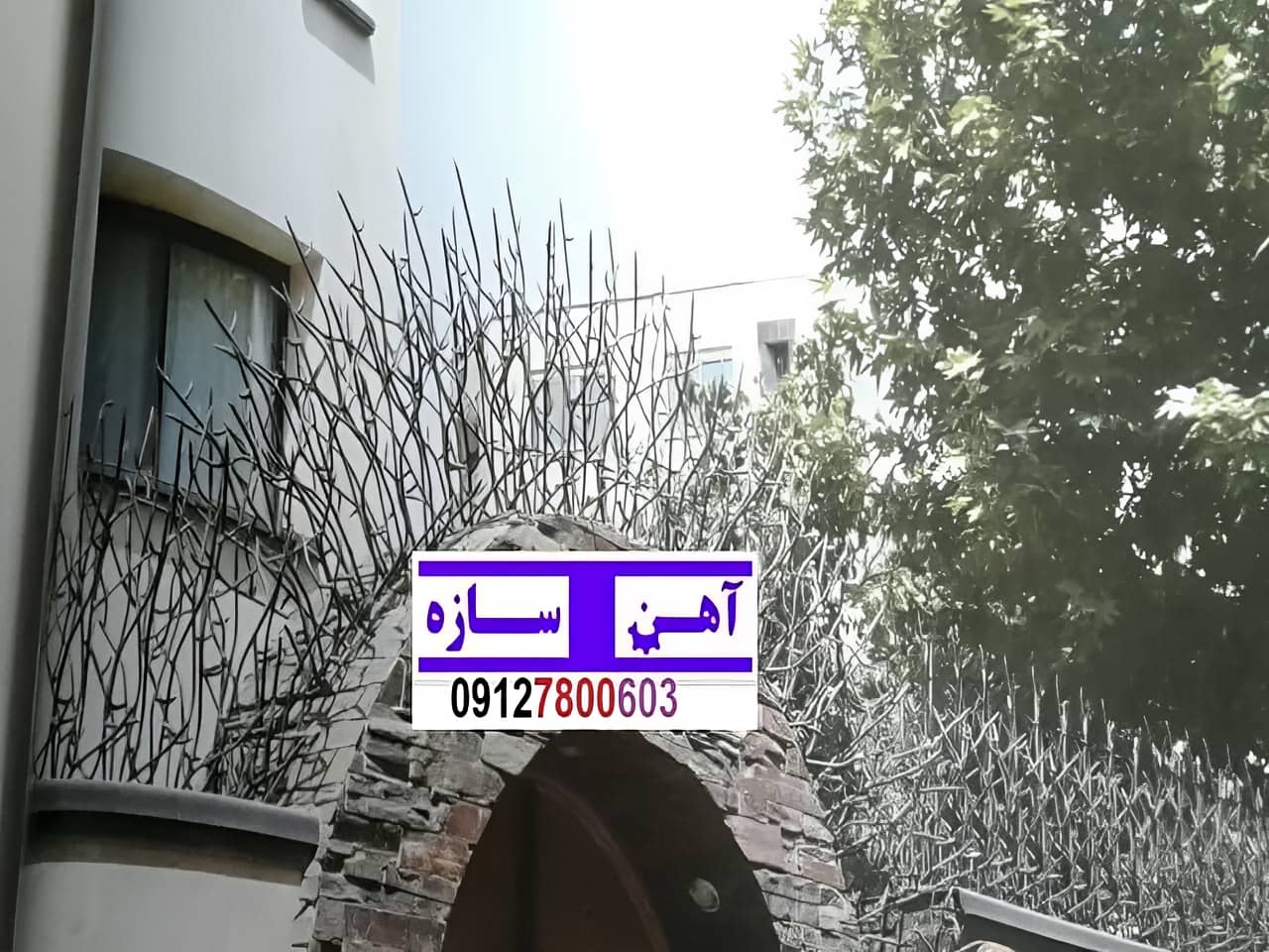 فنس حفاظ روی دیوار شاخ گوزن بوته خار لیلیومی