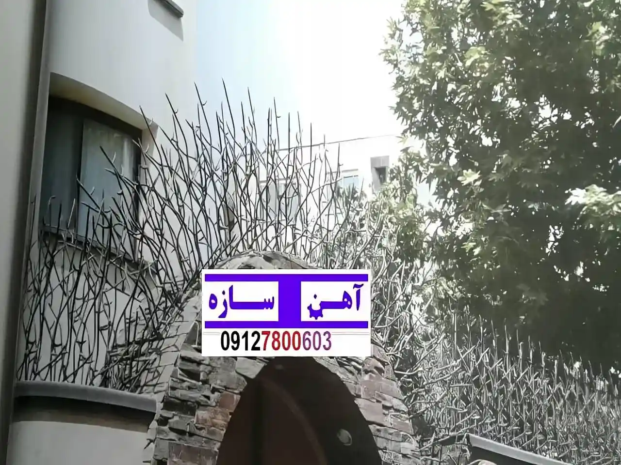 فنس حفاظ روی دیوار شاخ گوزن بوته خار لیلیومی