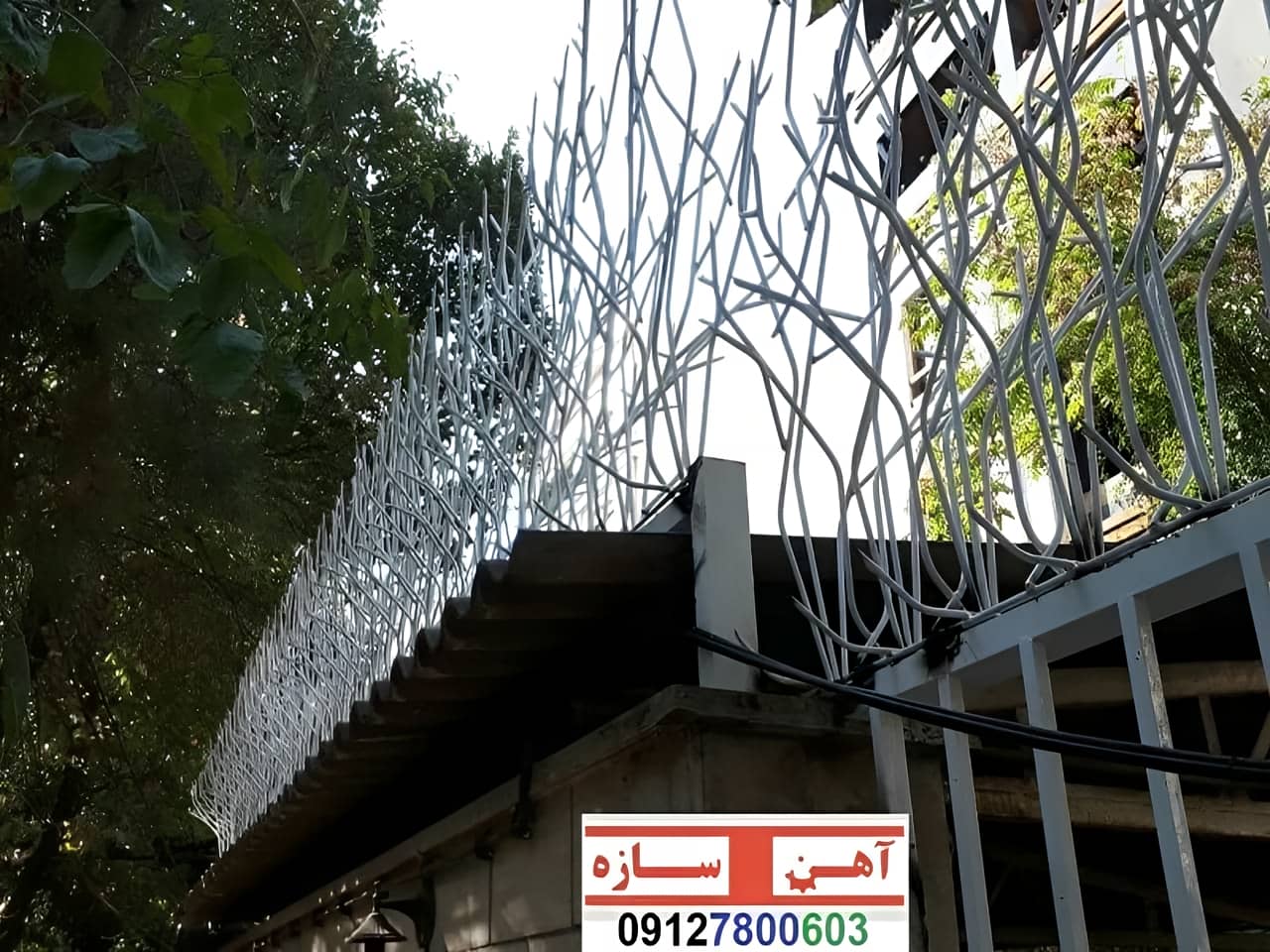 فنس حفاظ روی دیوار شاخ گوزن بوته خار لیلیومی