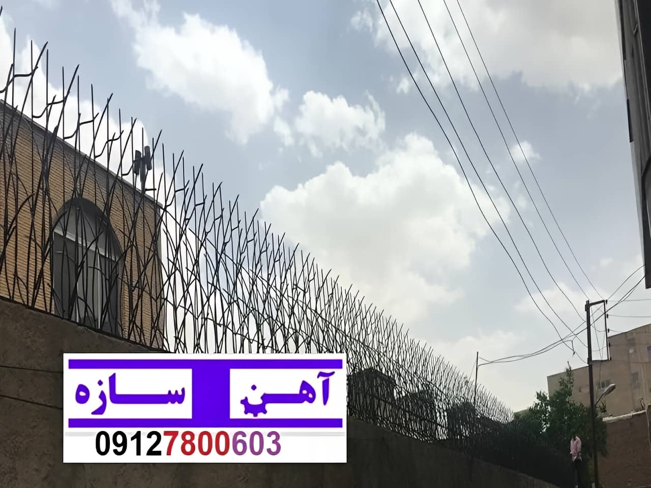 فنس حفاظ روی دیوار شاخ گوزن بوته خار لیلیومی