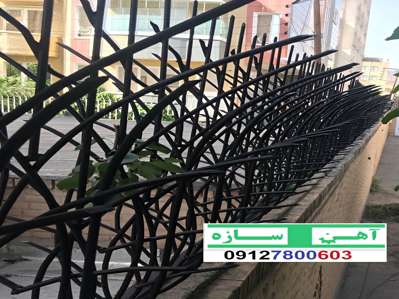 فنس حفاظ روی دیوار شاخ گوزن بوته خار لیلیومی