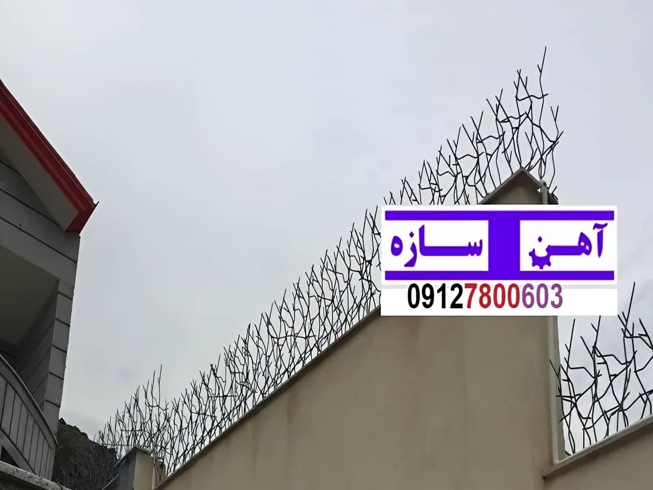 فنس حفاظ روی دیوار شاخ گوزن بوته خار لیلیومی
